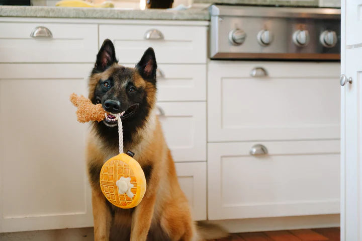 P.L.A.Y | Barking Brunch Collection | Plush Dog Toy Near Me | ARMOR THE POOCH